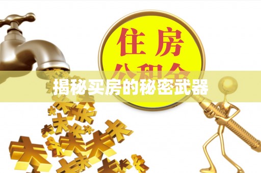 北仑揭秘买房的秘密武器